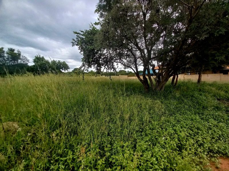 A view of a vacant residential plot featuring overgrown grass and mature trees, enclosed by a boundary wall.