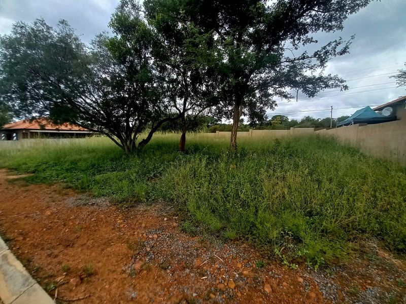 A vacant residential plot featuring a perimeter wall and mature trees, currently covered in overgrown grass and vegetation.