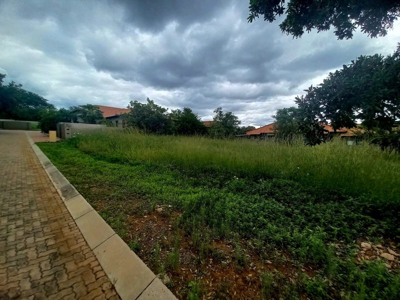 A vacant residential plot featuring a paved driveway and concrete curbing, surrounded by established trees and neighboring properties.