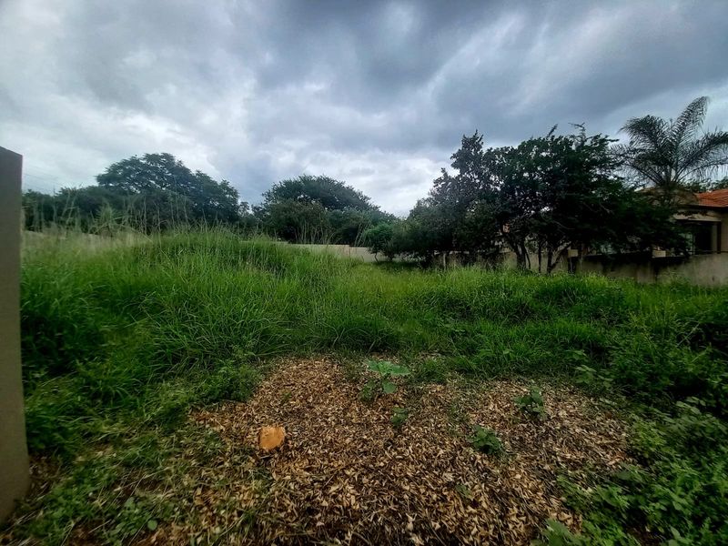 A vacant residential plot featuring overgrown grass and mature trees, enclosed by a perimeter wall, offering a blank canvas for future development.