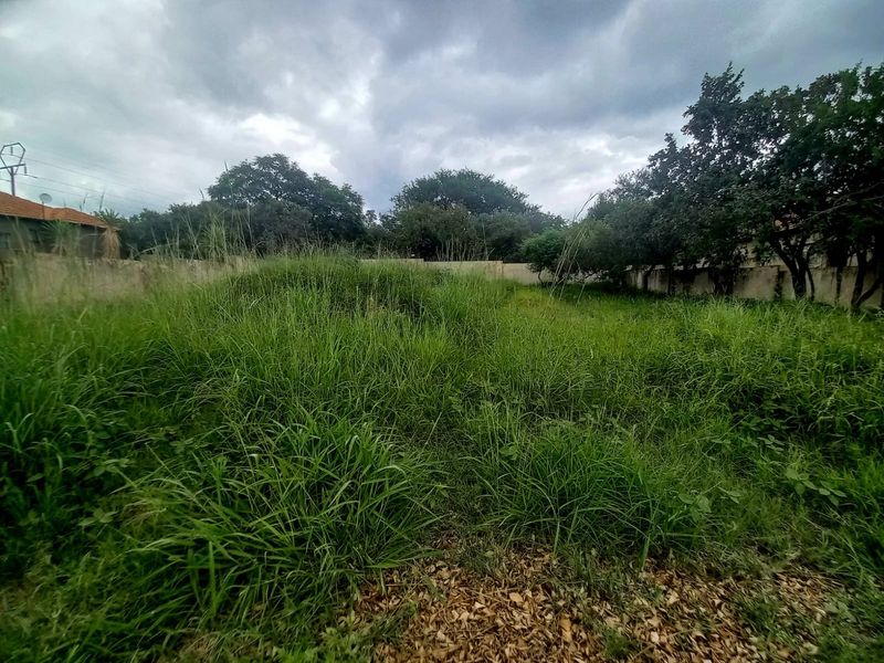 A vacant residential plot featuring overgrown grass, mature trees, and a perimeter boundary wall, offering a blank canvas for future development.