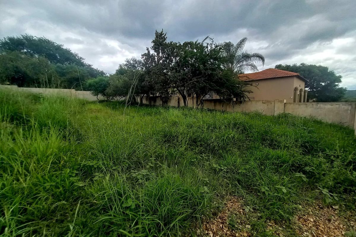 A view of a vacant residential plot featuring overgrown grass, mature trees, and a perimeter wall boundary.