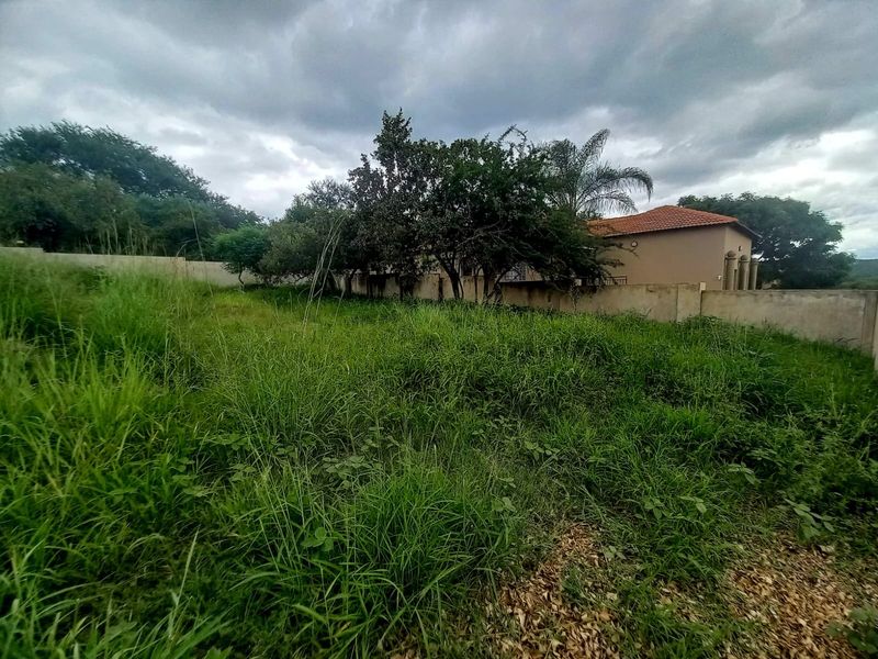 A view of a vacant residential plot featuring overgrown grass, mature trees, and a perimeter wall boundary.