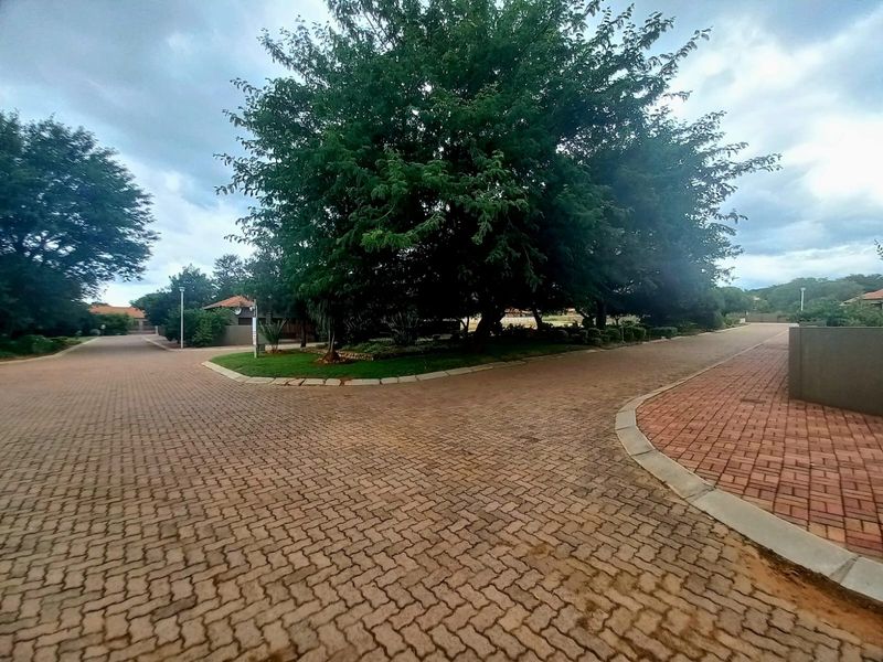A view of a paved residential street featuring mature trees and well-maintained landscaping within a residential estate.