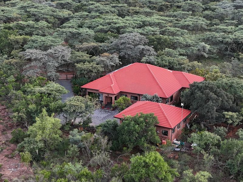 Aerial view of a brick house with a red tiled roof, nestled within a dense, natural wooded landscape.