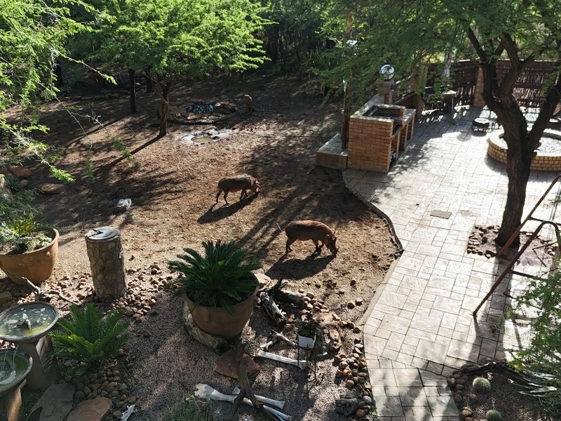 A spacious rear garden area featuring a paved patio, built-in brick braai, and natural landscaping with mature trees.