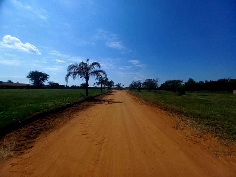 A view of a dirt road leading through a vacant residential land plot with surrounding grass and trees.