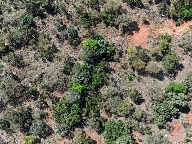 An aerial view of the vacant residential land featuring natural vegetation and native trees across the property terrain.