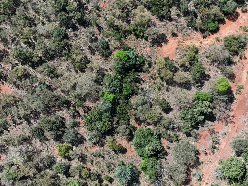 An aerial view of a vacant residential plot featuring dense native vegetation and an unpaved access track.