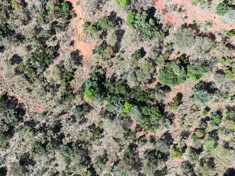 An aerial view of the vacant residential land featuring natural vegetation and native trees across the property terrain.
