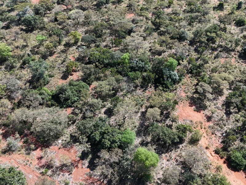 An aerial view of a vacant residential plot featuring natural bushveld vegetation and undeveloped terrain.