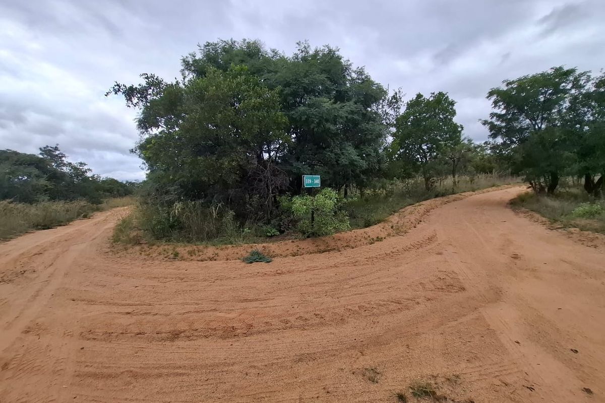 A view of a dirt road intersection on a vacant residential plot, featuring natural vegetation and property signage.