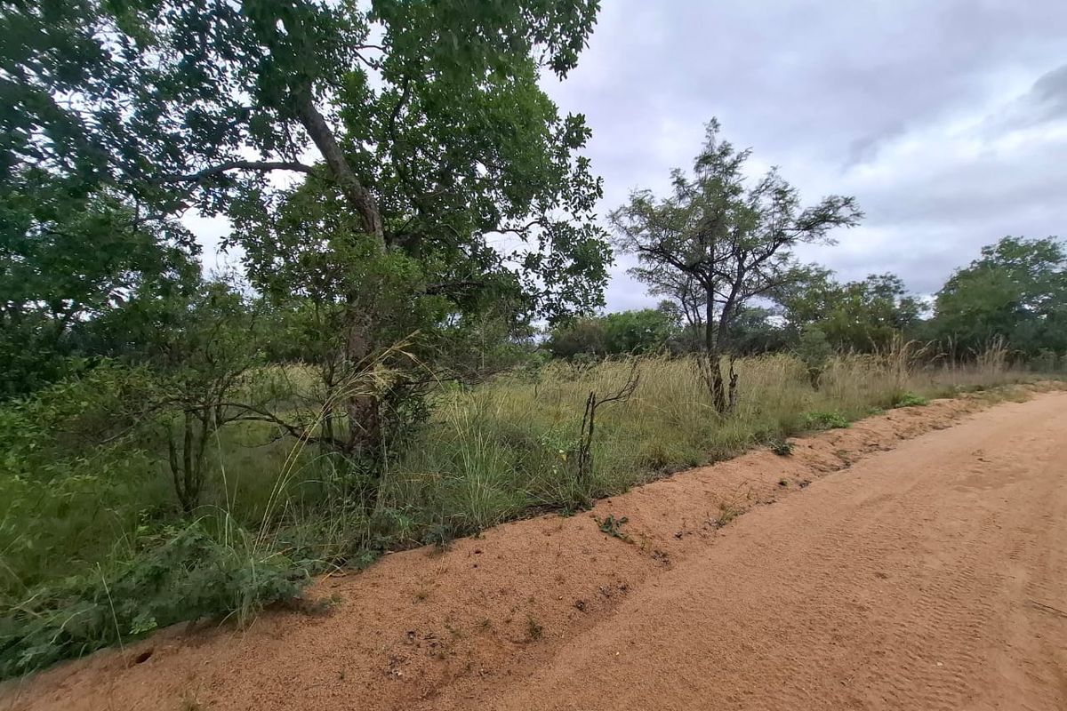 A view of a vacant residential plot featuring a dirt road frontage and established native trees and vegetation.