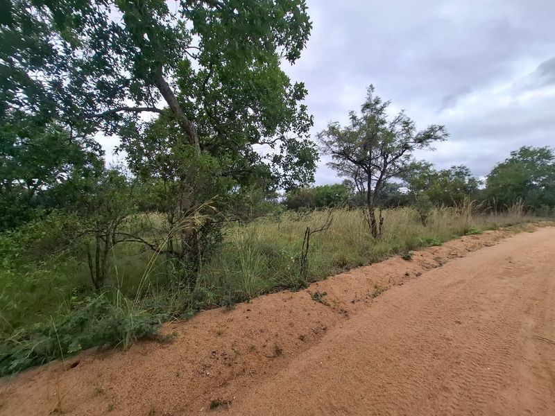 A view of a vacant residential plot featuring a dirt road frontage and established native trees and vegetation.