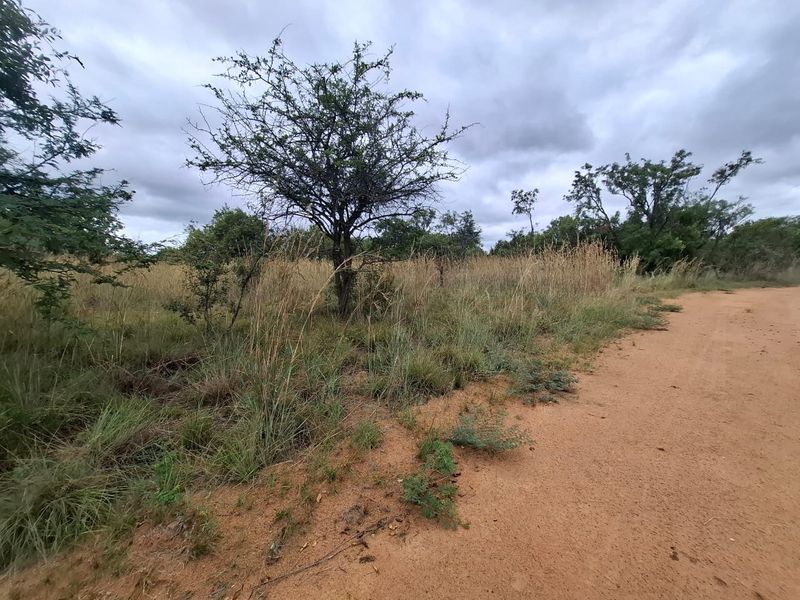 A view of a dirt road bordering a vacant residential plot with natural vegetation and trees.