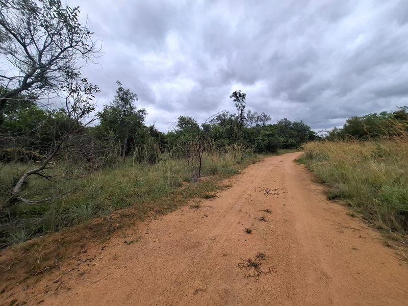 A view of a dirt access road leading through a natural, undeveloped residential plot with native vegetation.