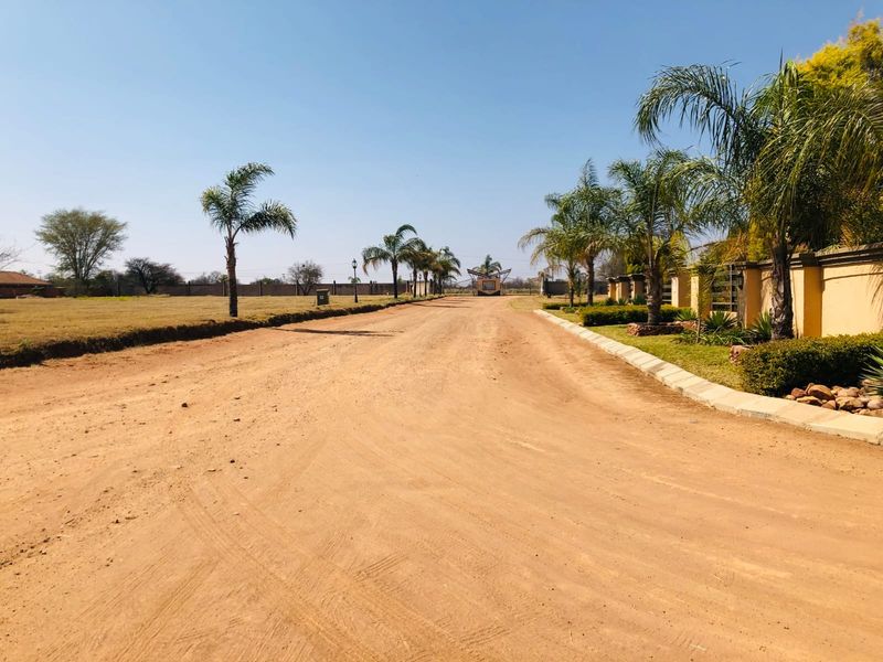 A view of the unpaved access road leading to the property, featuring perimeter walls and established palm tree landscaping.