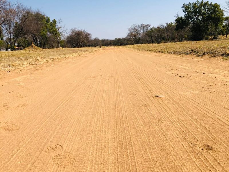 A view of an unpaved dirt road leading through a natural, open residential land plot with surrounding trees.