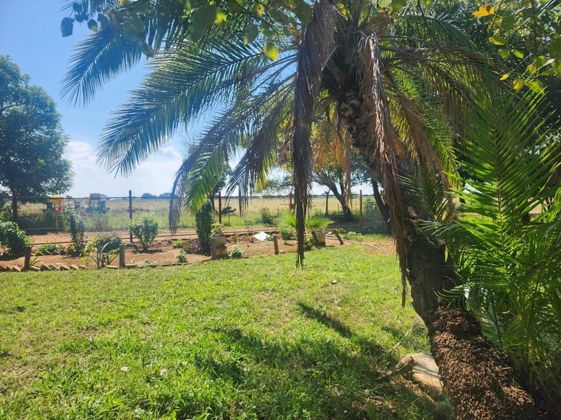 A view of the property garden featuring a mature palm tree, landscaped garden beds, and wire perimeter fencing overlooking open fields.