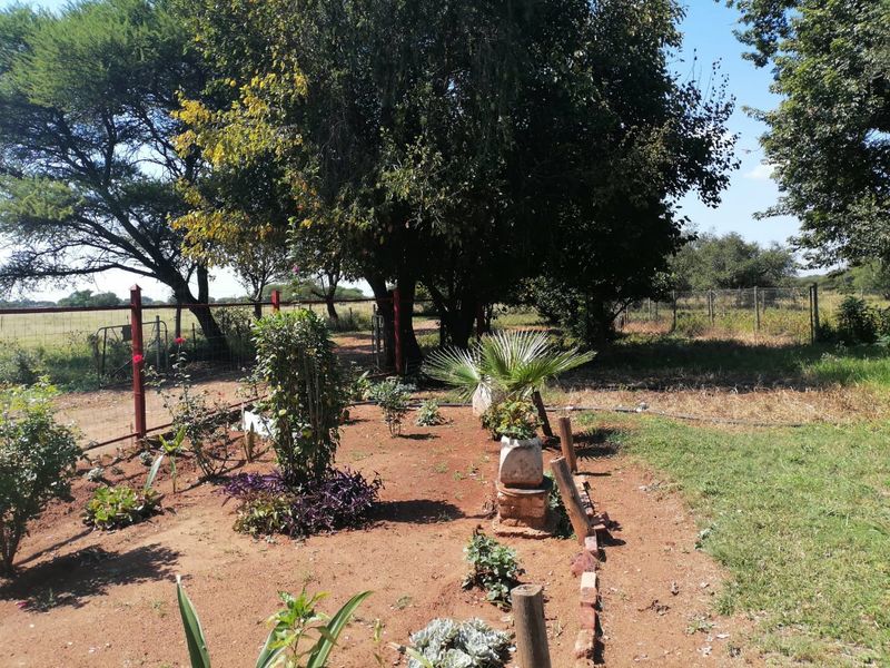 A view of the garden area featuring wire mesh fencing, mature trees, and established garden beds on the small holding property.