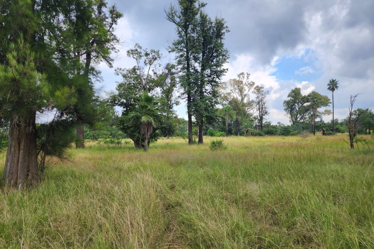 A view of a vacant residential plot featuring mature trees and natural grassland vegetation.