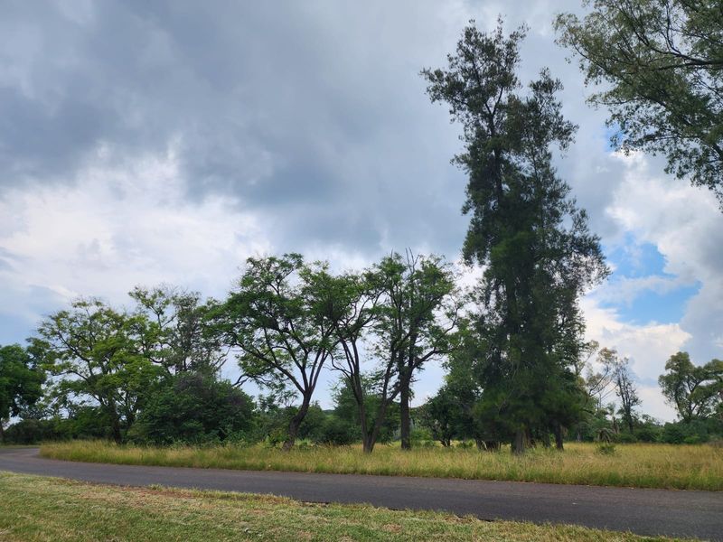 A view of a vacant residential plot featuring mature trees and natural grassland, bordered by an asphalt road.