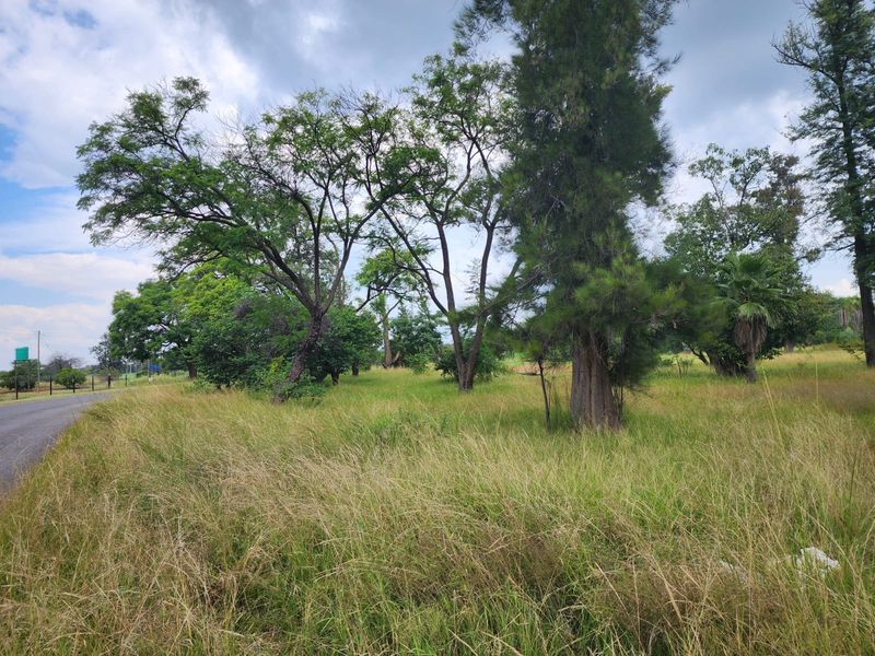 A view of a vacant residential plot featuring established trees and natural grassland, adjacent to a paved road.