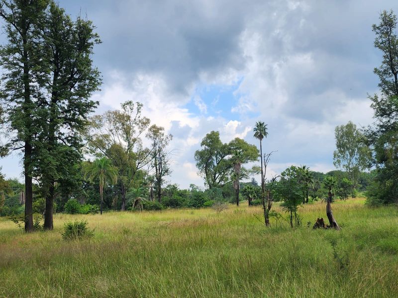 A view of a vacant residential plot featuring established trees and natural grassland under a cloudy sky.
