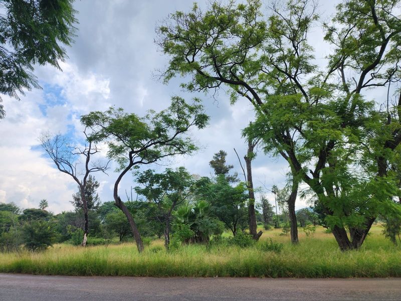 A view of a vacant residential plot featuring mature trees and natural grassland vegetation.