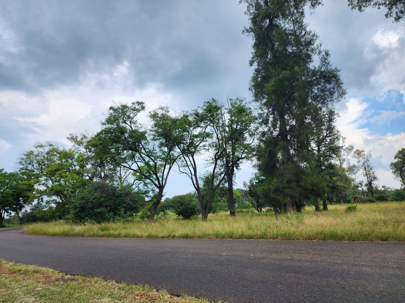 A view of a vacant residential plot featuring mature trees and natural grassland, bordered by an asphalt road.