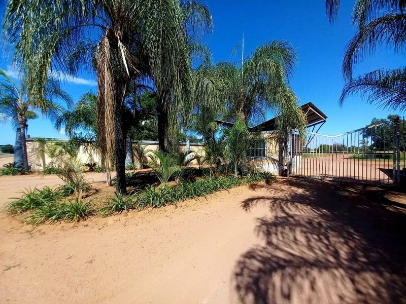 Front entrance view of the vacant residential property featuring a metal security gate, perimeter wall, and established palm trees.