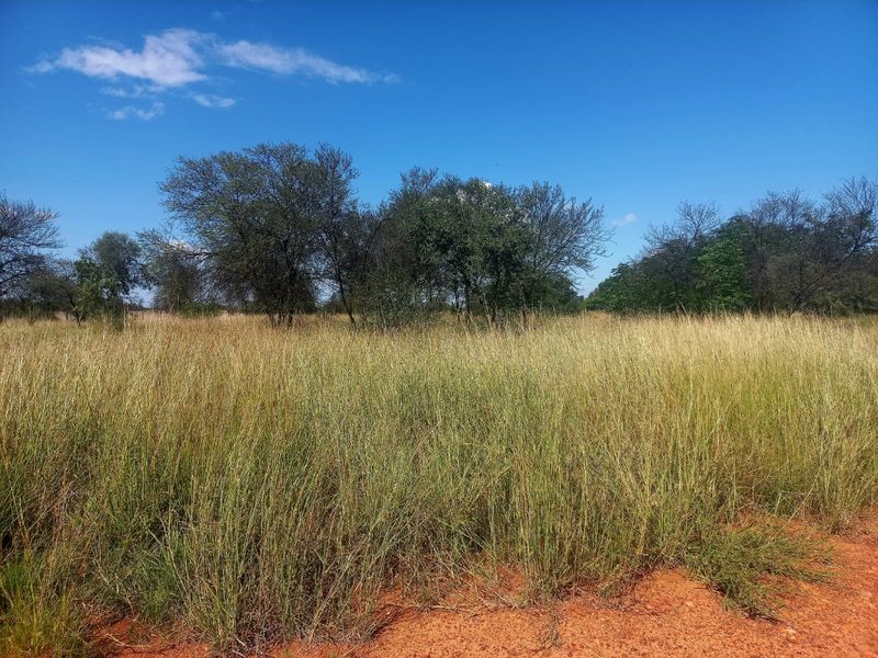 A view of a vacant residential plot featuring natural tall grass and mature trees under a clear blue sky.