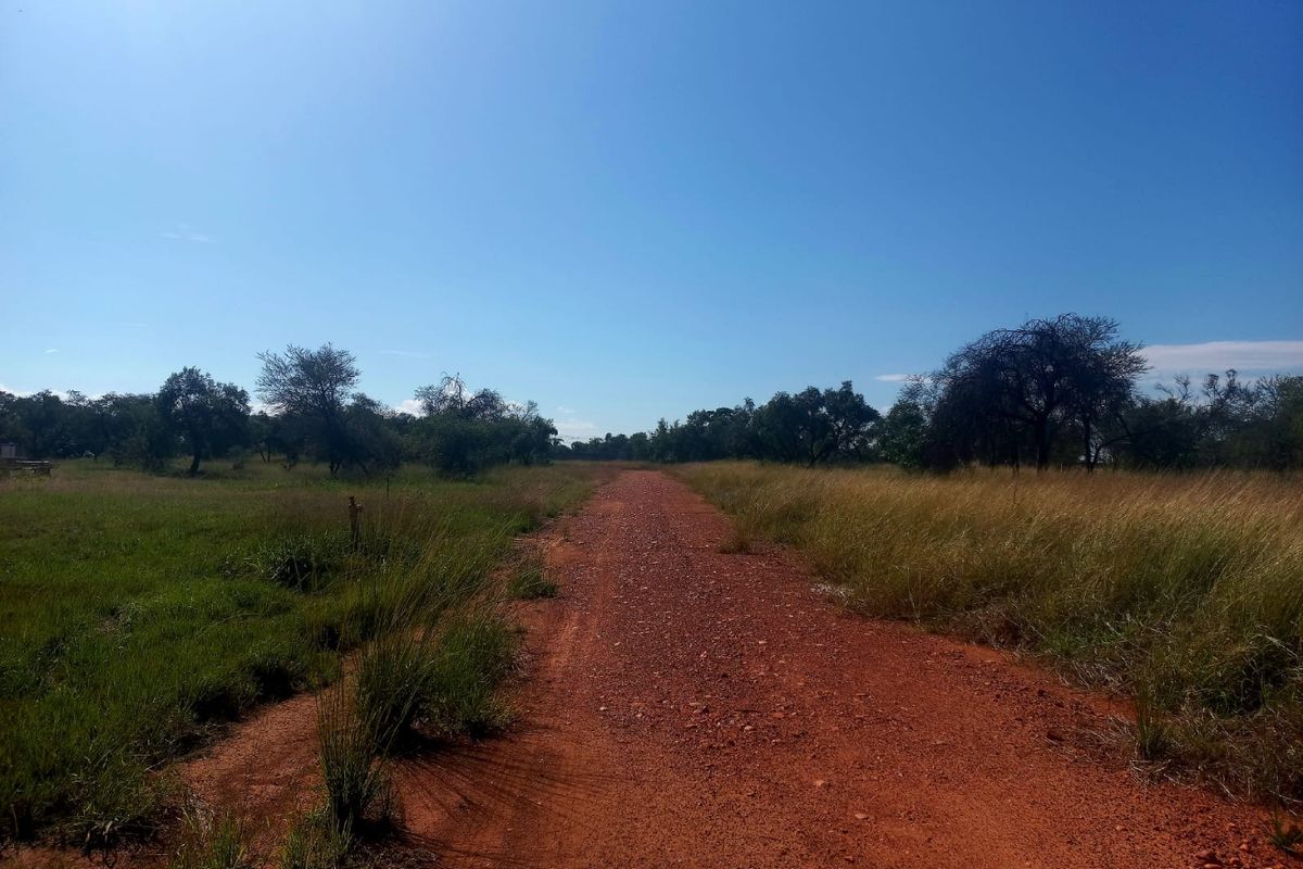 A view of an unpaved access road leading through a vacant residential plot with natural grass and trees.