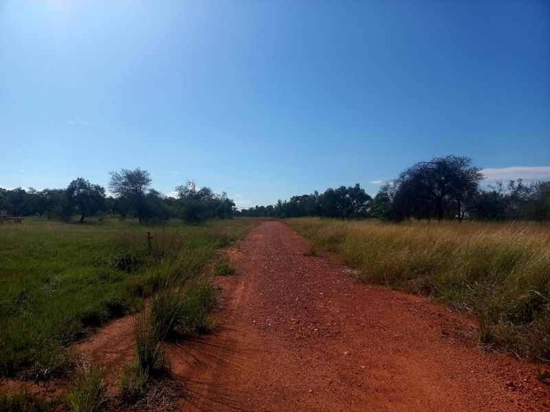 A view of an unpaved access road leading through a vacant residential plot with natural grass and trees.