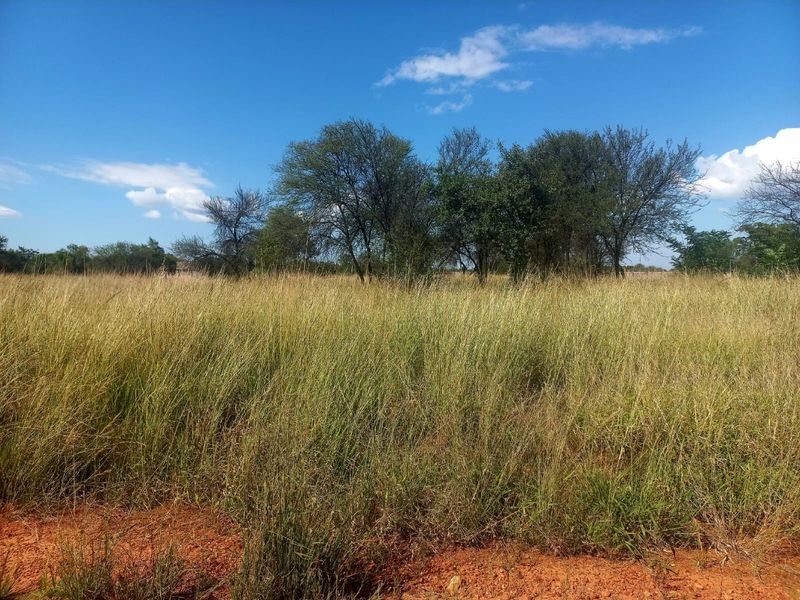 A view of a vacant residential plot featuring natural grassland and mature trees under a clear blue sky.