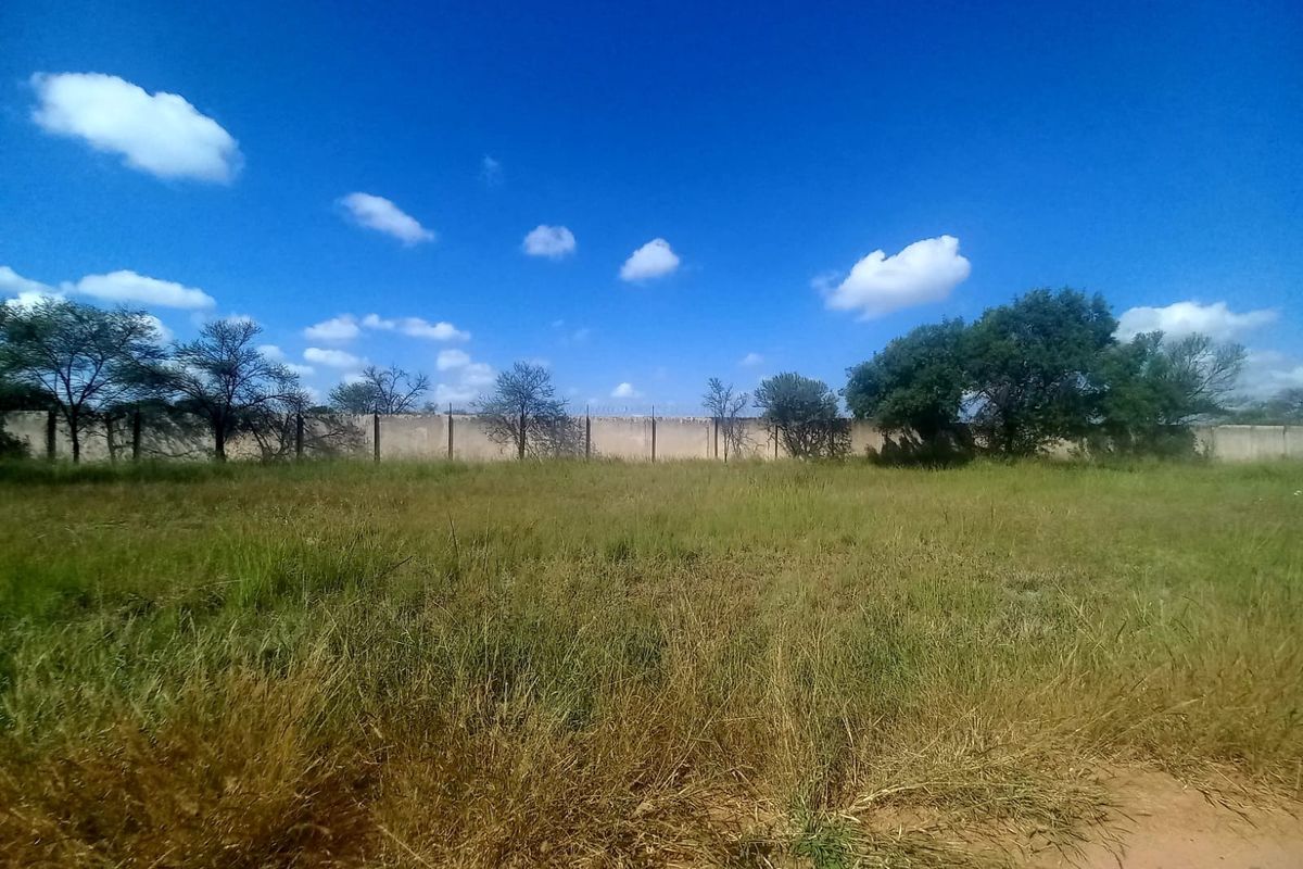 A vacant residential plot featuring natural grass cover, mature trees, and a perimeter boundary wall.