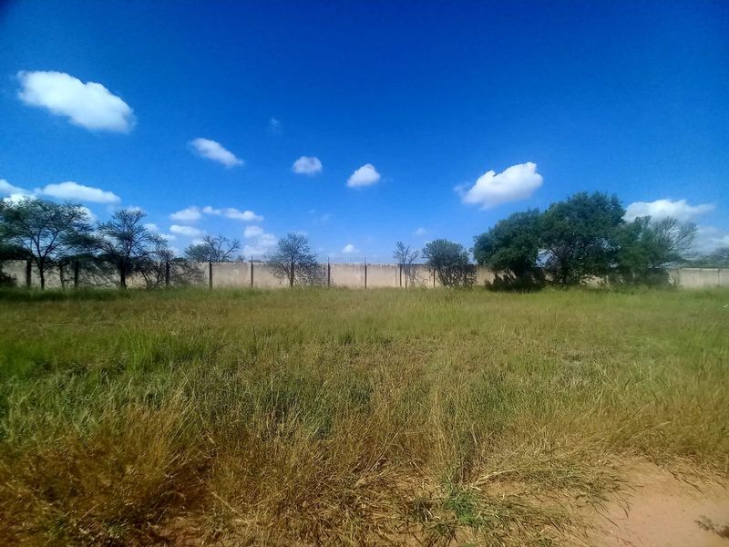 A vacant residential plot featuring natural grass cover, mature trees, and a perimeter boundary wall.