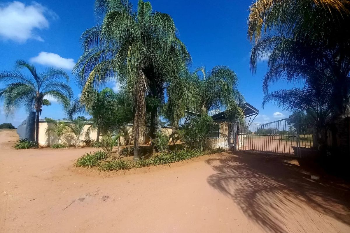 Front entrance view of the residential vacant land property featuring a metal gate, perimeter wall, and established palm trees.