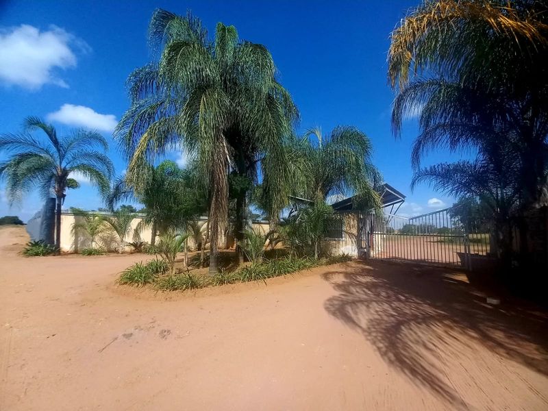 Front entrance view of the residential vacant land property featuring a metal gate, perimeter wall, and established palm trees.