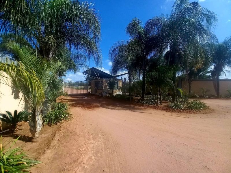 Front entrance view of the property featuring a security gate, guard house, and established palm trees along an unpaved access road.