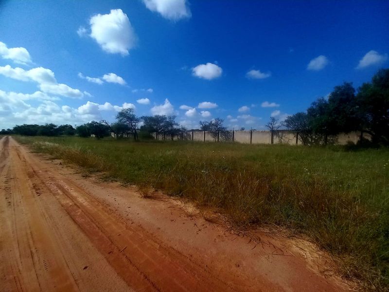 A view of the unpaved road frontage and perimeter wall bordering the vacant residential land.