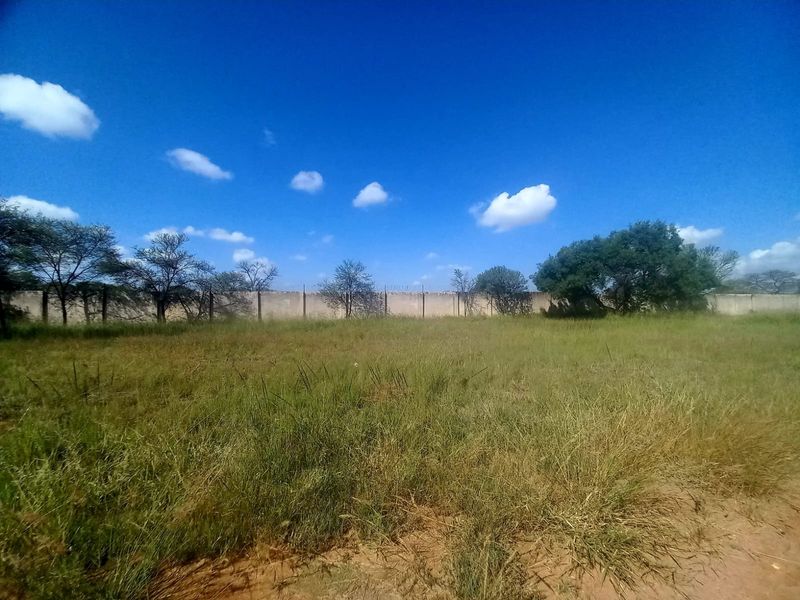 A vacant residential plot featuring natural grass coverage, mature trees, and a perimeter boundary wall with security fencing.