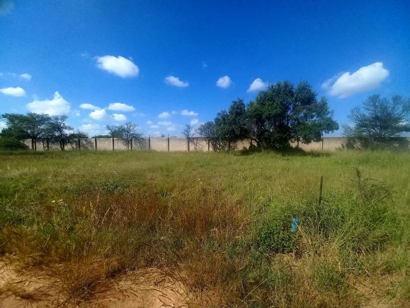 A vacant residential plot featuring natural grass cover, mature trees, and a perimeter boundary wall.