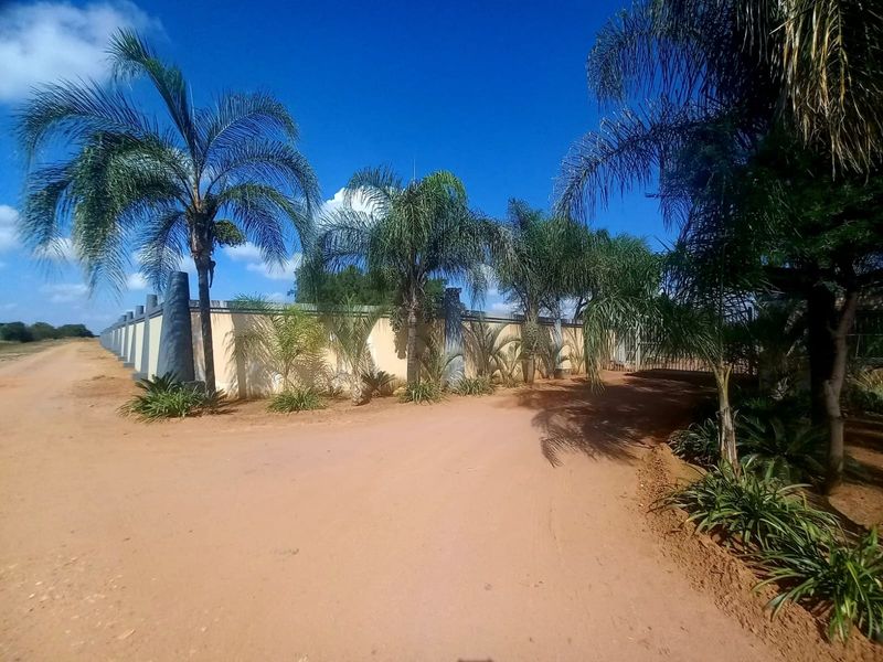 A view of the property entrance featuring a long perimeter wall, gated access, and established palm trees along a dirt road.