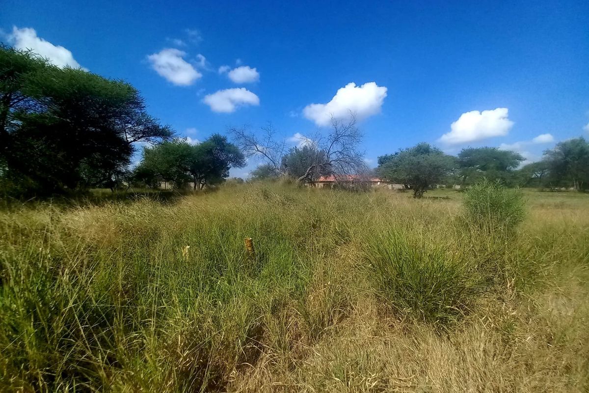 A view of a vacant residential plot featuring natural grass cover and mature trees under a clear blue sky.