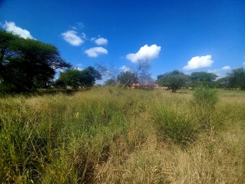 A view of a vacant residential plot featuring natural grass cover and mature trees under a clear blue sky.
