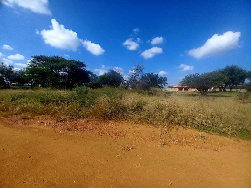 A view of a vacant residential plot featuring natural vegetation, mature trees, and perimeter fencing, accessible via a dirt road.