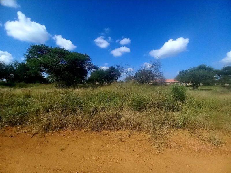 A view of a vacant residential plot featuring natural vegetation and unpaved access, suitable for future development.