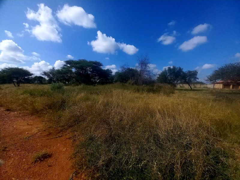 A view of an undeveloped residential plot featuring natural grass and scattered trees under a clear blue sky.