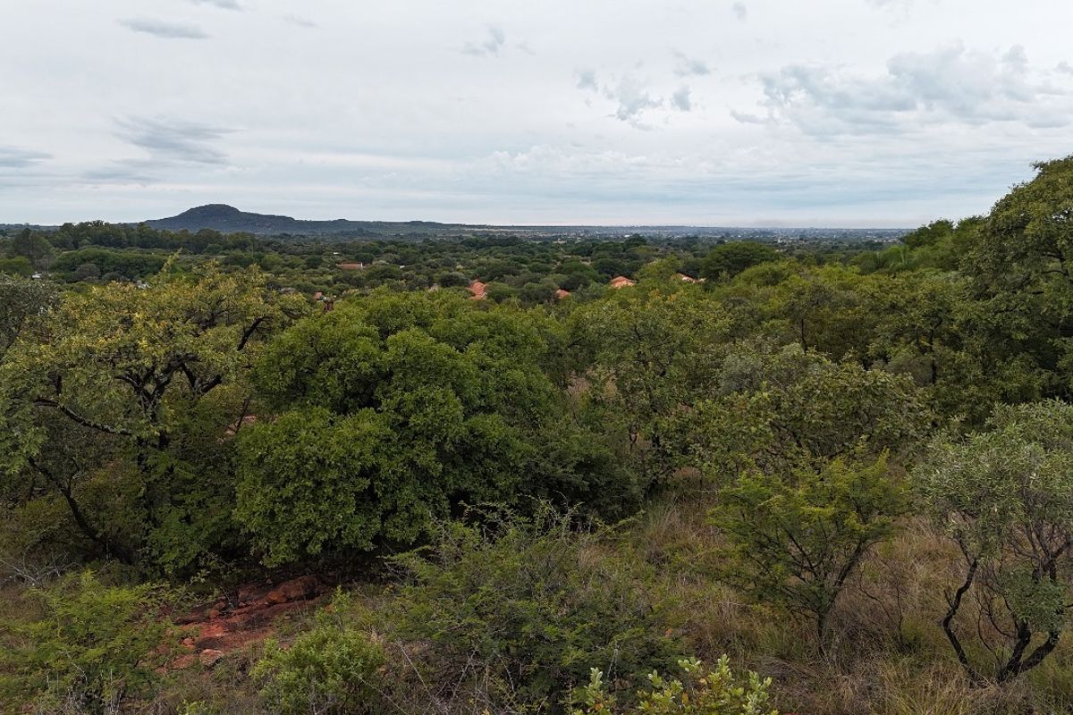 A scenic elevated view overlooking a lush, tree-covered landscape and distant horizon, showcasing the natural beauty of the vacant residential land.